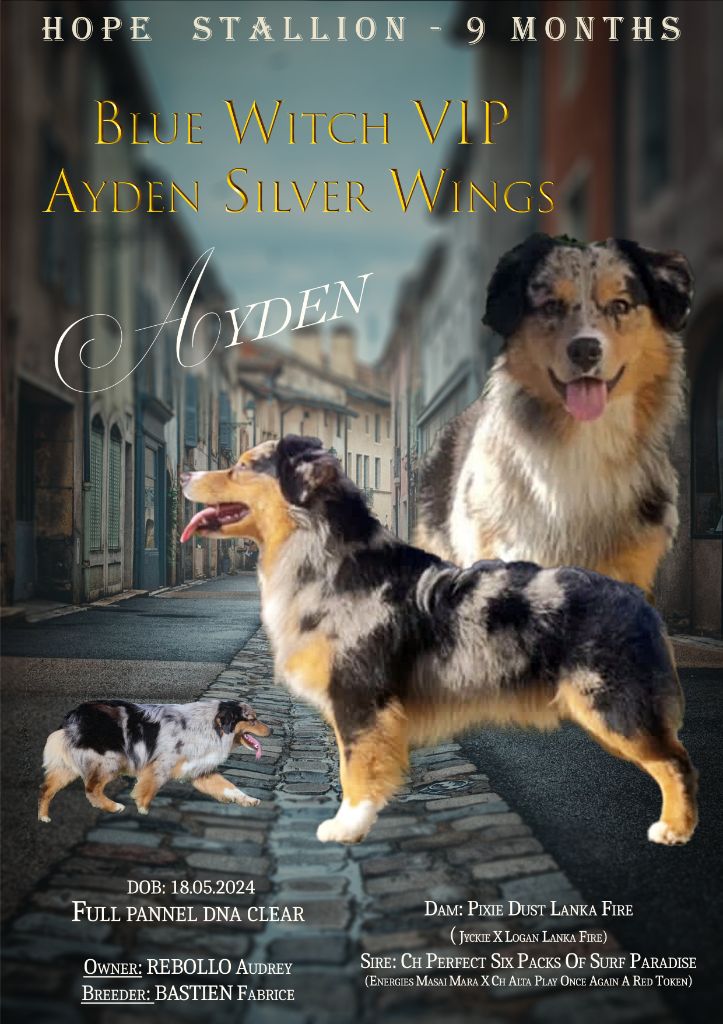 Blue witch Vip ayden silver wings