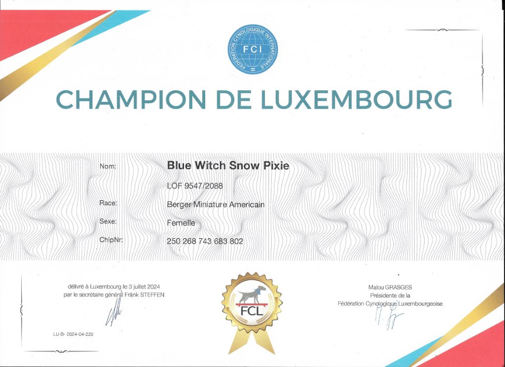 Blue witch - Championne de Luxembourg