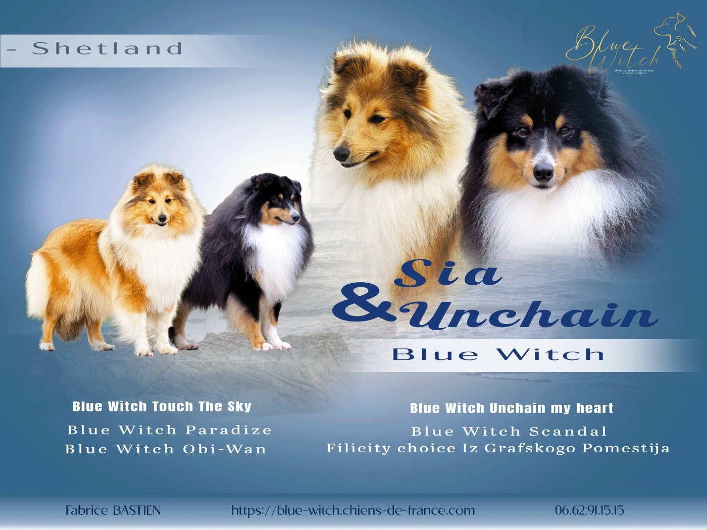 Gestation confirmée