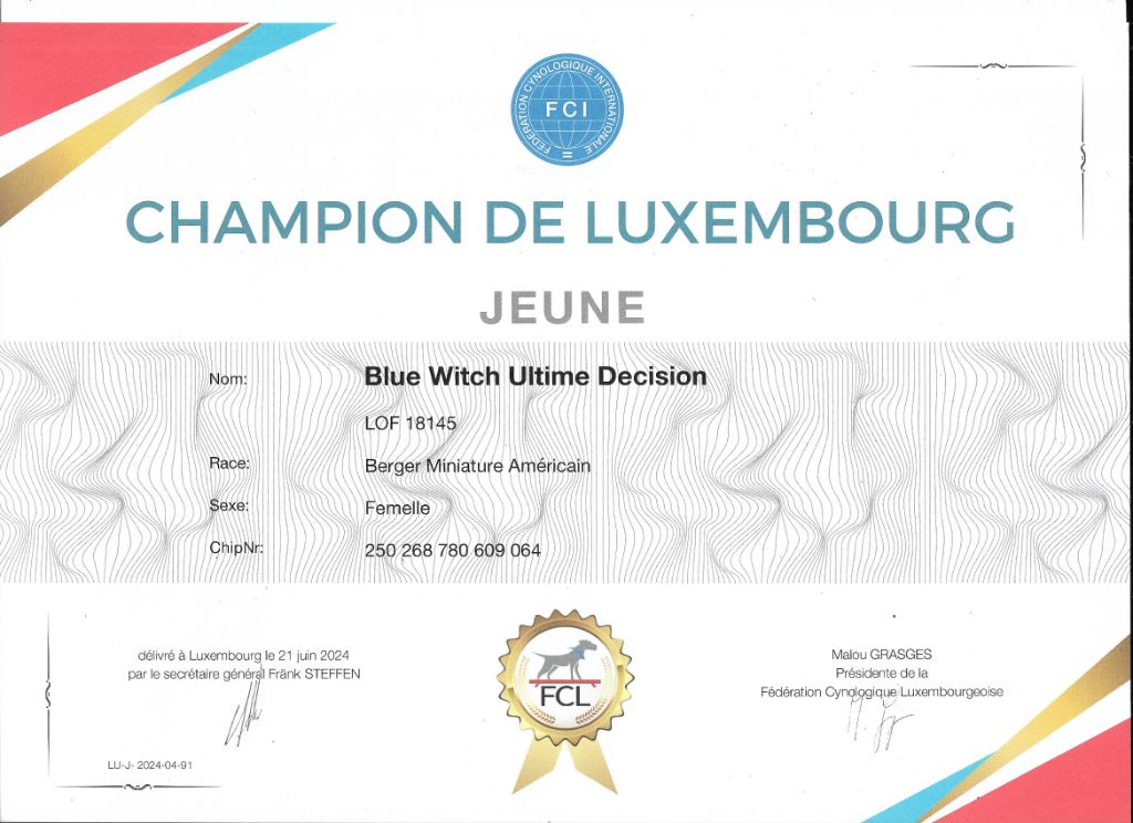 Blue witch - Championne de Luxembourg JEUNE